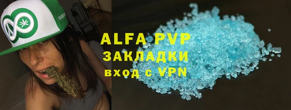 шишки Приозерск