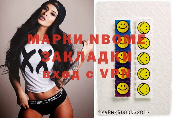 шишки Приозерск