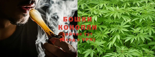 шишки Приозерск