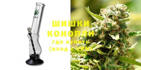 шишки Приозерск
