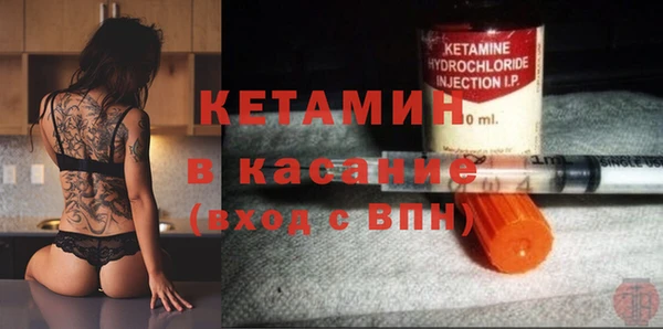 шишки Приозерск
